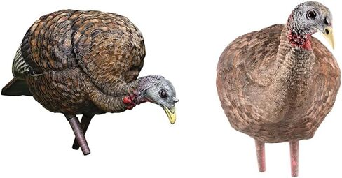 AVIAN-X LCD Feeder Hen Turkey Decoy | Durable Realistic Lifelike Collapsible Standing Hunting Decoy with Carry Bag & Stake, AVX8007 in Kuwait