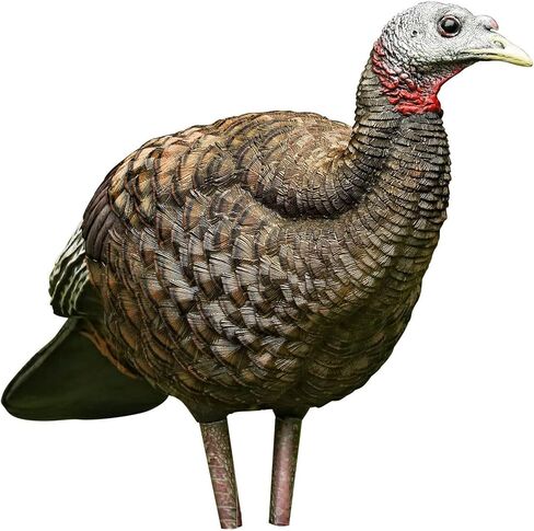 AVIAN-X LCD Feeder Hen Turkey Decoy | Durable Realistic Lifelike Collapsible Standing Hunting Decoy with Carry Bag & Stake, AVX8007 in Kuwait