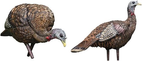 AVIAN-X LCD Feeder Hen Turkey Decoy | Durable Realistic Lifelike Collapsible Standing Hunting Decoy with Carry Bag & Stake, AVX8007 in Kuwait