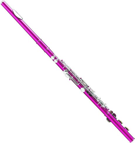 KAYATA C Flute - فلوت طالب بفتحة مغلقة مطلي بالنيكل، 16 مفتاحًا للمبتدئين، حقيبة قماش خفيفة الوزن، حزام الكتف، قطعة قماش للتنظيف، شحم المفاصل، وقفازات (أسود) in Kuwait