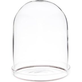 Plymor 4" x 4" Glass Display Dome Cloche with Silver Rim (Clear Glass Tray Base)