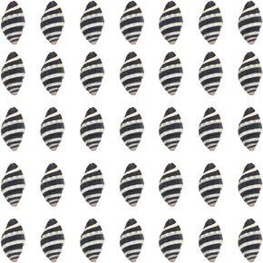 SUNNYCLUE 1 Box 50Pcs Spiral Shells Small Spiral Seashells Vase Fillers Zebra Pattern Hawaii Style Sea Ocean Beach Black White Conch Un-Drilled No Hole Shells for Candle Filler Craft Home Decoration