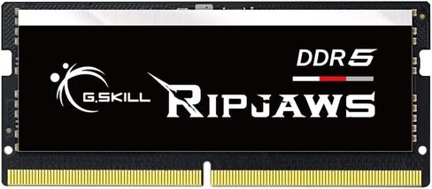 G.سكيل سلسلة DDR5 SO-DIMM من ريب جاوس (انتل XMP) 32GB (2 × 16GB) 262 دبوس DDR5 5600 CL46-45-45-89 1.10 فولت ذاكرة مزدوجة القناة F5-5600S4645A16GX2-RS in Saudi Arabia