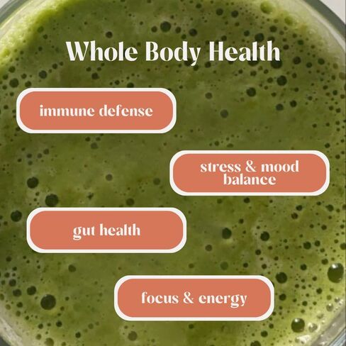 Natural Greens Supplements Superfood Powder Drink by Rookie Wellness, Gut Support Digestive Enzyme, Improve Mood, Immune Support, Peach Mango Greens Powder (30 Serving Bag) in Saudi Arabia