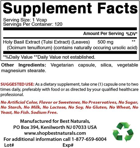 Best Naturals Bromelain 500mg 120 Tablets (120 Count (Pack of 3)) in Saudi Arabia