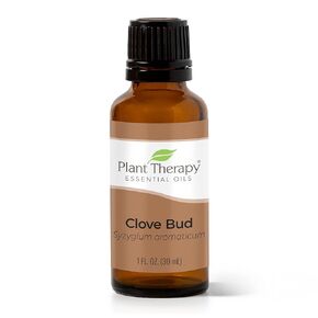 Plant Therapy Rose Absolute Essential Oil 100% Pure, Undiluted, Natural Aromatherapy, Therapeutic Grade 10 mL (1/3 oz)