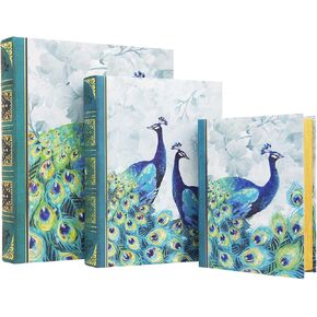 Punch Studio Book Box, Multicolored
