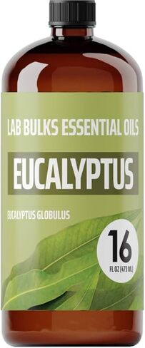 زجاجة زيت عشبة الليمون العطري من Lab Bulks سعة 16 أونصة، للناشرين والرعاية المنزلية والشموع والعلاج العطري - عبوتان in Kuwait