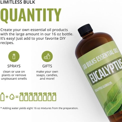 زجاجة زيت عشبة الليمون العطري من Lab Bulks سعة 16 أونصة، للناشرين والرعاية المنزلية والشموع والعلاج العطري - عبوتان in Kuwait
