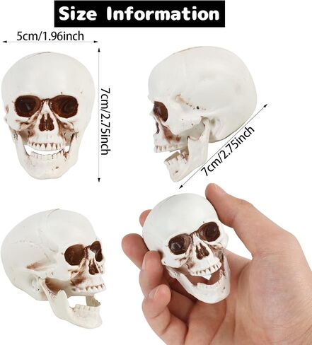 CCINEE 8pcs Halloween Skull Decoration Realistic Looking Skulls Mini Human Skeleton Head Skull Ornaments for Halloween Home Haunted House Day of The Dead Decor Party Supplies(2 x 2.75 x 2.75 inch) in Saudi Arabia