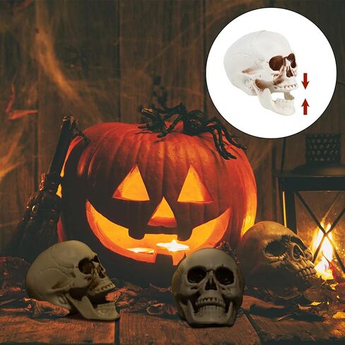 CCINEE 8pcs Halloween Skull Decoration Realistic Looking Skulls Mini Human Skeleton Head Skull Ornaments for Halloween Home Haunted House Day of The Dead Decor Party Supplies(2 x 2.75 x 2.75 inch) in Saudi Arabia