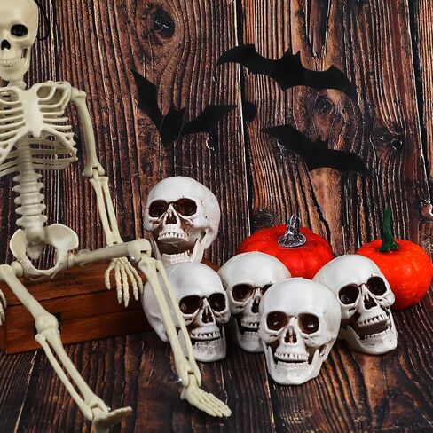 CCINEE 8pcs Halloween Skull Decoration Realistic Looking Skulls Mini Human Skeleton Head Skull Ornaments for Halloween Home Haunted House Day of The Dead Decor Party Supplies(2 x 2.75 x 2.75 inch) in Saudi Arabia