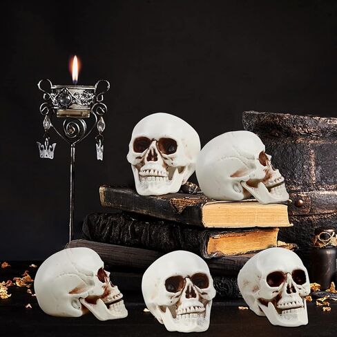 CCINEE 8pcs Halloween Skull Decoration Realistic Looking Skulls Mini Human Skeleton Head Skull Ornaments for Halloween Home Haunted House Day of The Dead Decor Party Supplies(2 x 2.75 x 2.75 inch) in Saudi Arabia
