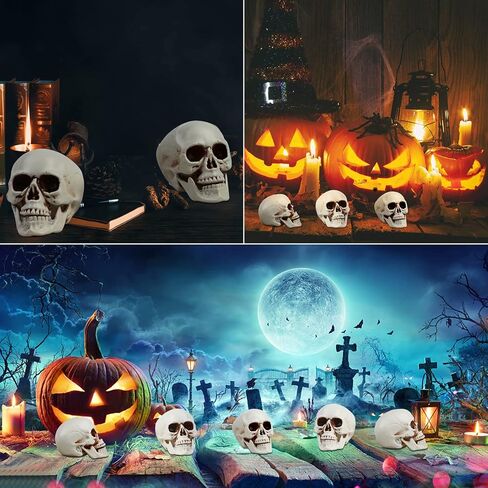 CCINEE 8pcs Halloween Skull Decoration Realistic Looking Skulls Mini Human Skeleton Head Skull Ornaments for Halloween Home Haunted House Day of The Dead Decor Party Supplies(2 x 2.75 x 2.75 inch) in Saudi Arabia