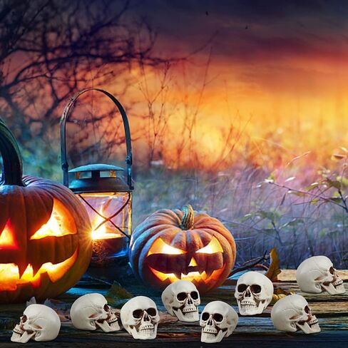 CCINEE 8pcs Halloween Skull Decoration Realistic Looking Skulls Mini Human Skeleton Head Skull Ornaments for Halloween Home Haunted House Day of The Dead Decor Party Supplies(2 x 2.75 x 2.75 inch) in Saudi Arabia