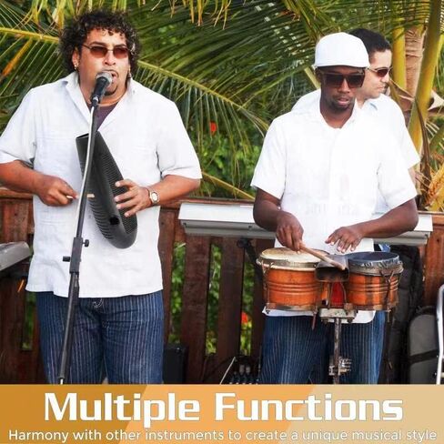 RANMING Guiro Instrument,3.9 x13 Inch Super Guiro,Fish Shaped Latin Percussion Instrument with 2 Scraper Musical Training Tool for Beginners and Music Lover.(Purple) in Kuwait