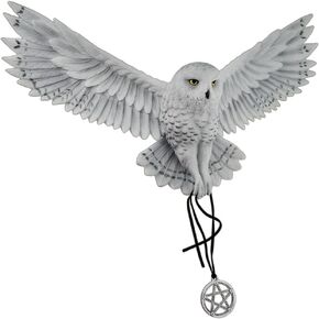 Veronese Design Anne Stokes Awaken Your Magic Snowy Owl with Pentagram Pendant Wall Sculpture