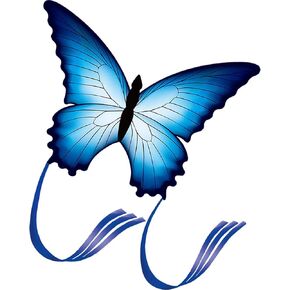 HENGDA KITE 2 Pack Butterfly Kite,for Kids and Adults,Easy to Fly,Excellent Fabric and Structure Design,The Pictures are Beautiful in high Definition,Suitable for Beginners(31x22)