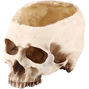 11.5cm Open Skeleton Skull Figurine Medium Bowl, Artificial Resin Skull Head Flower Pot Skull Candy Bowl Multifunctional Tabletop Storage Tank Replica Skeleton Model Home Bar Table Decor Ornament