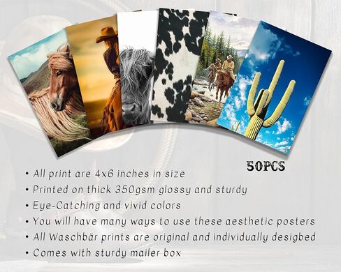Waschbär Halloween Wall Collage Kit Aesthetic Pictures - Halloween Room Decor, Halloween Poster for Teen Girls, Witchy Room Decor, Halloween Decorations for Bedroom, 50pcs in Saudi Arabia