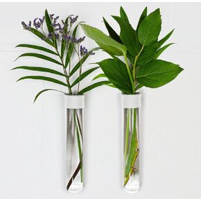 Magnetic Wall Hanging Plant Propagation Station - 2PC - Black Leather Wrapped Test Tube Vase Set, Modern Home and Office Decor, Hydroponic Plant Holder, Includes Wall Mount Magnets