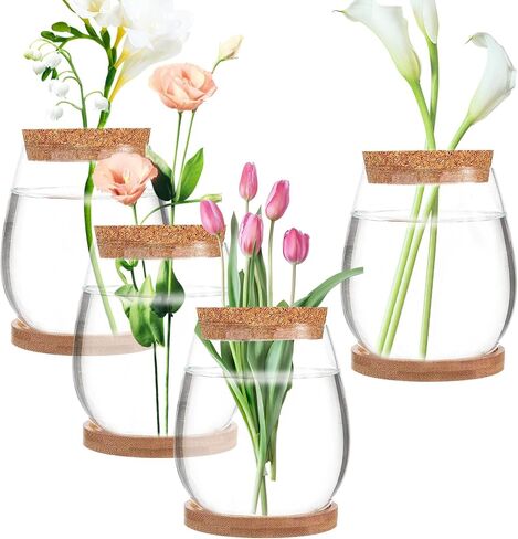 4 Pack Plant Propagation Jars,Separated Desktop Glass Plant Propagation Vase with Tray & Lid,Planter Station for Hydroponics Plants Home Office Desktop Decor for Hydroponic Plant Lover Gifts in Saudi Arabia