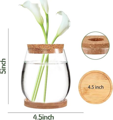 4 Pack Plant Propagation Jars,Separated Desktop Glass Plant Propagation Vase with Tray & Lid,Planter Station for Hydroponics Plants Home Office Desktop Decor for Hydroponic Plant Lover Gifts in Saudi Arabia