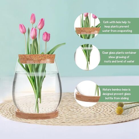 4 Pack Plant Propagation Jars,Separated Desktop Glass Plant Propagation Vase with Tray & Lid,Planter Station for Hydroponics Plants Home Office Desktop Decor for Hydroponic Plant Lover Gifts in Saudi Arabia