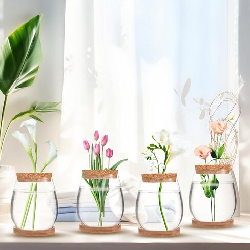 4 Pack Plant Propagation Jars,Separated Desktop Glass Plant Propagation Vase with Tray & Lid,Planter Station for Hydroponics Plants Home Office Desktop Decor for Hydroponic Plant Lover Gifts in Saudi Arabia