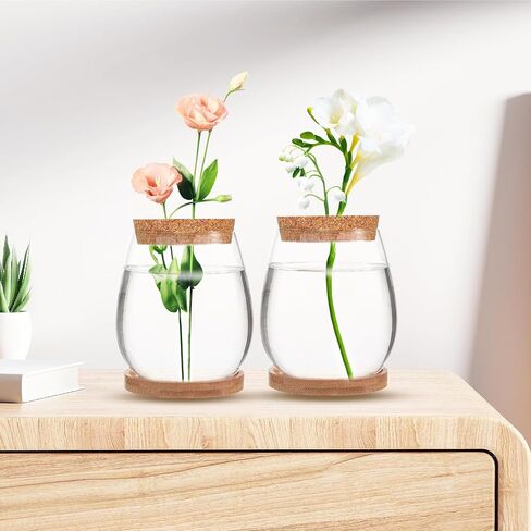 4 Pack Plant Propagation Jars,Separated Desktop Glass Plant Propagation Vase with Tray & Lid,Planter Station for Hydroponics Plants Home Office Desktop Decor for Hydroponic Plant Lover Gifts in Saudi Arabia