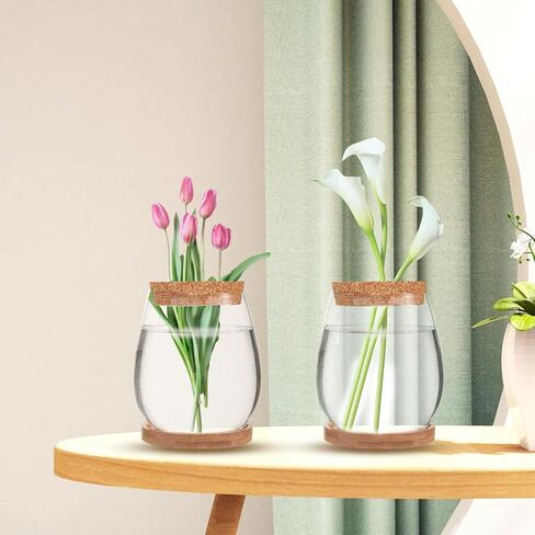 4 Pack Plant Propagation Jars,Separated Desktop Glass Plant Propagation Vase with Tray & Lid,Planter Station for Hydroponics Plants Home Office Desktop Decor for Hydroponic Plant Lover Gifts in Saudi Arabia