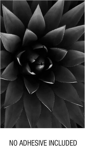 مجموعة صور مجمعة للحائط من العلامات التجارية GSM باللونين الأبيض والأسود، مجموعة من 50 صورة فردية مقاس 4 × 6 بوصة لغرفة النوم في الكلية في سن المراهقة in Kuwait