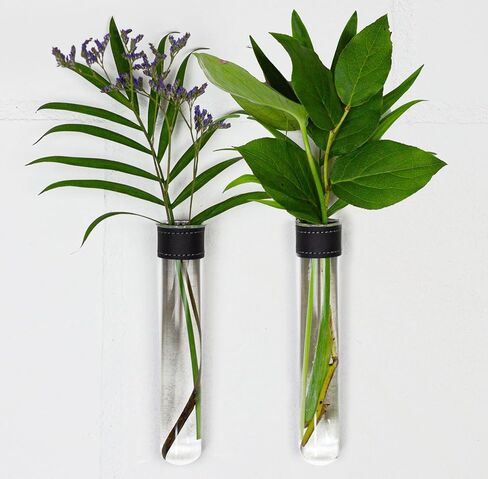 Magnetic Wall Hanging Plant Propagation Station - 2PC - Black Leather Wrapped Test Tube Vase Set, Modern Home and Office Decor, Hydroponic Plant Holder, Includes Wall Mount Magnets in Saudi Arabia