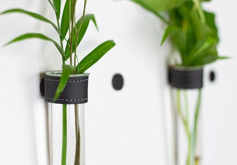 Magnetic Wall Hanging Plant Propagation Station - 2PC - Black Leather Wrapped Test Tube Vase Set, Modern Home and Office Decor, Hydroponic Plant Holder, Includes Wall Mount Magnets in Saudi Arabia