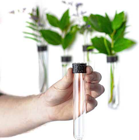Magnetic Wall Hanging Plant Propagation Station - 2PC - Black Leather Wrapped Test Tube Vase Set, Modern Home and Office Decor, Hydroponic Plant Holder, Includes Wall Mount Magnets in Saudi Arabia