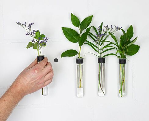 Magnetic Wall Hanging Plant Propagation Station - 2PC - Black Leather Wrapped Test Tube Vase Set, Modern Home and Office Decor, Hydroponic Plant Holder, Includes Wall Mount Magnets in Saudi Arabia