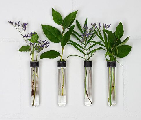 Magnetic Wall Hanging Plant Propagation Station - 2PC - Black Leather Wrapped Test Tube Vase Set, Modern Home and Office Decor, Hydroponic Plant Holder, Includes Wall Mount Magnets in Saudi Arabia