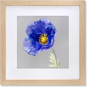 VNVNK 20x28 Frame Natural Wood Color, Perfect for 20x28 Inch Picture without Mat or 16x24 Inch Picture with Mat, Home Wall Decor Picture Frame-1 PCS in Saudi Arabia