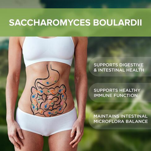 مكمل Saccharomyces Boulardii بروبيوتيك 240 قرصًا 3 مليارات CFU بروبيوتيك للرجال والنساء يدعم صحة الجهاز الهضمي والأمعاء صنع في الولايات المتحدة الأمريكية (240، Saccharomyces Boulardii) in Kuwait