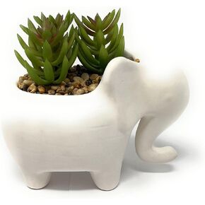Nature's Mark 4.7" H Succulent in Elephant White Ceramic Planter, Modern and Simple Stylish Design Artificial Plants