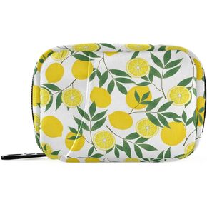 Naanle Valentines Dachshund Dog Pill Box 7 Day Pill Case Bag Travel Pill Organizer Bag with Zipper Portable Weekly Case Compact Size Pill Bag for Vitamin Supplement Holder