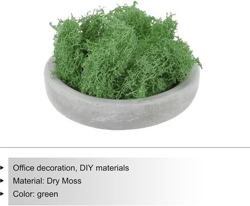 MECCANIXITY 0.35 OZ Moss Fake Craft Moss Artificial Moss Natural Preserved Moss for Craft Arts Floral DIY Project Wall Wedding Garden Patio Table Terrariums Decoration(Green) in Saudi Arabia