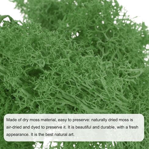 MECCANIXITY 0.35 OZ Moss Fake Craft Moss Artificial Moss Natural Preserved Moss for Craft Arts Floral DIY Project Wall Wedding Garden Patio Table Terrariums Decoration(Green) in Saudi Arabia