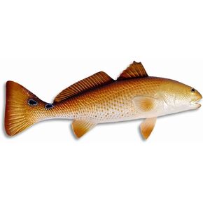 Replica Red Drum Fish Ocean Restaurant Wall Decor