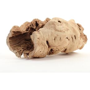 Koyal Wholesale 10" Hollow Grapewood Branch, Pack of 1, Grapewood Centerpiece Vase, Air Plants, Sand Blasted Grapewood