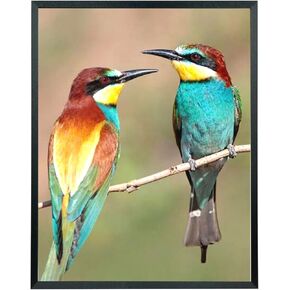 Mxtallup 19x24 Picture Frame Solid Wood 19x24 Poster Frame for Wall 19x24 Photo Frames Family Black (T22B1924)