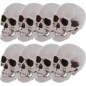 8 قطع من رؤوس جمجمة الهالوين من ديكوس، ديكور جماجم الهالوين البلاستيكية الصغيرة، رؤوس جمجمة بشرية واقعية، جماجم منزل مسكون بالهالوين، لتزيين طاولة المنزل في الهواء الطلق in Kuwait