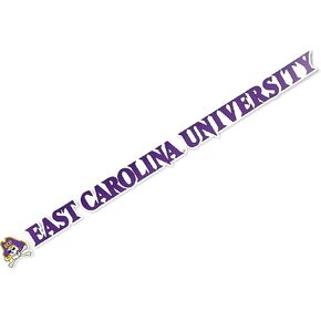 Desert Cactus East Carolina University Pirates ECU Name Logo Vinyl Decal Laptop Water Bottle Car Scrapbook (15 Inch Sticker)
