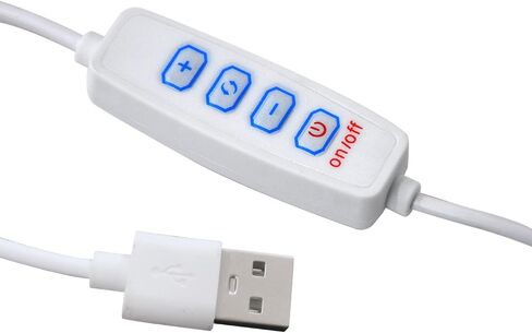 GHZWD مؤطرة جدار الفن ديكورات الإضاءة يطبع ديكور أضواء LED اللوحة صور للمنزل، غرفة، غرفة نوم، مكتب (ديفيد) in Saudi Arabia