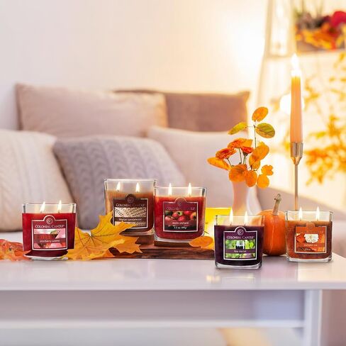 Colonial Candle Fine Merlot Scented Jar Candle, 2 Wick, 3.5 oz, Mottled Wax Candle in Saudi Arabia